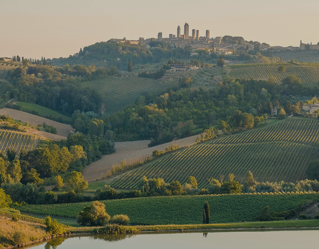 An Italian Farmer Surveying What Crop is More Affected